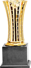 OUR AWARDS - JIUYOU