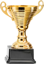 OUR AWARDS - JIUYOU